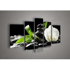 Модульная картина из 5 секций: белая орхидея, выполненная маслом на холсте
